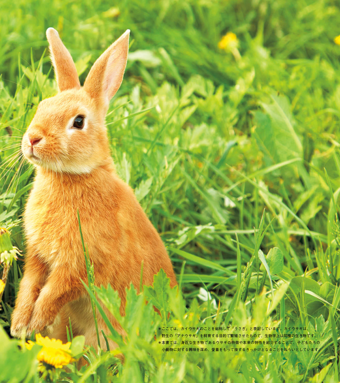 image03