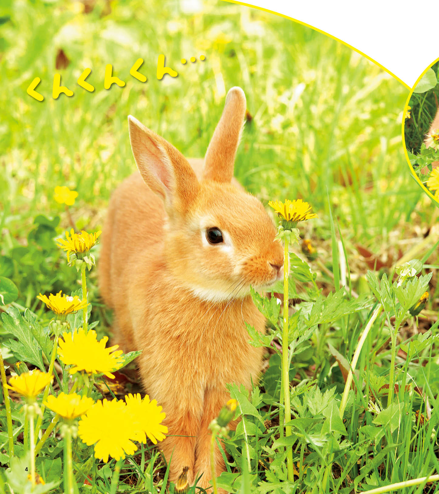 image04