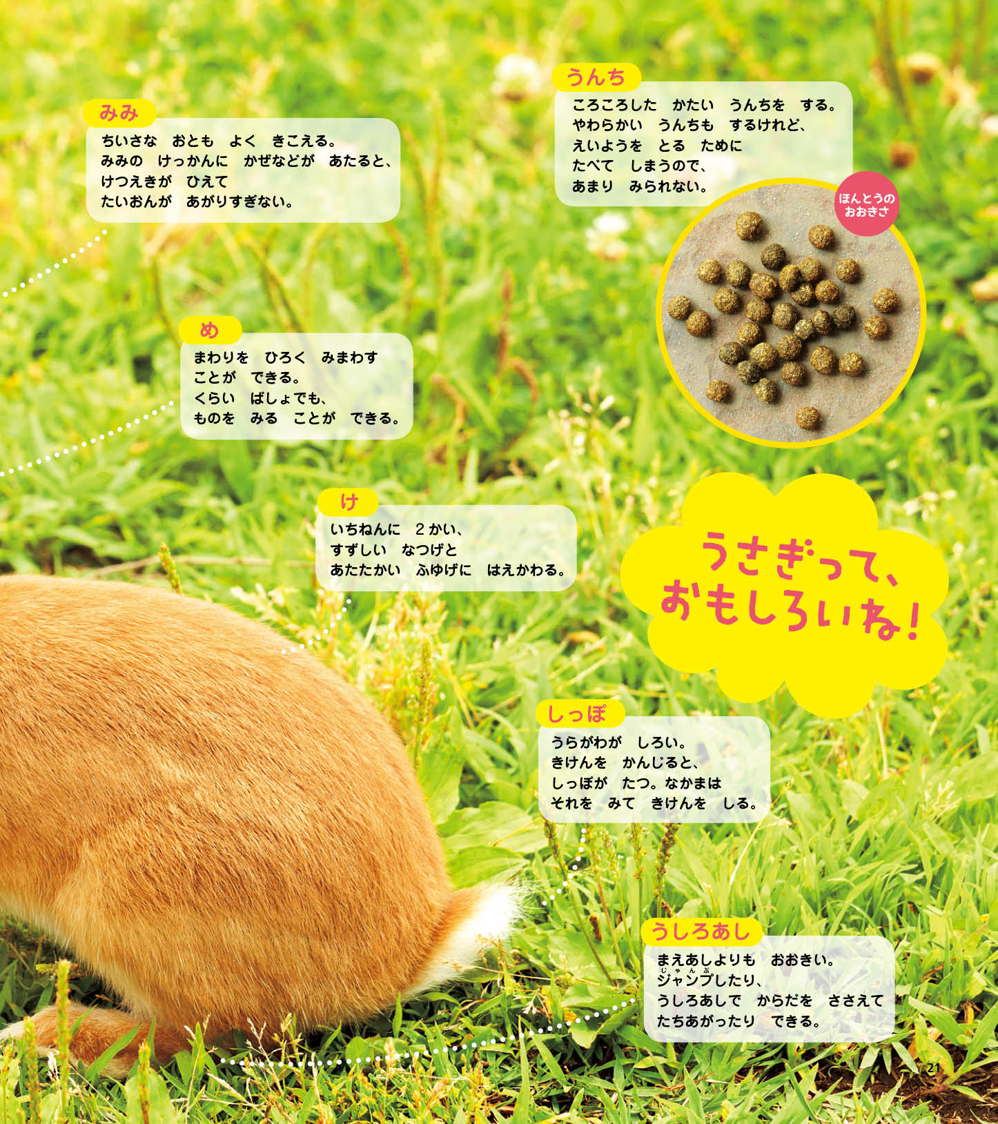 image21