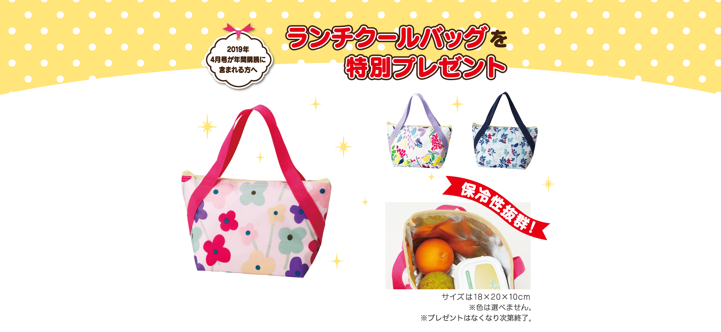 2019年4月号が年間購読に含まれる方へ ランチクールバッグを特別プレゼント